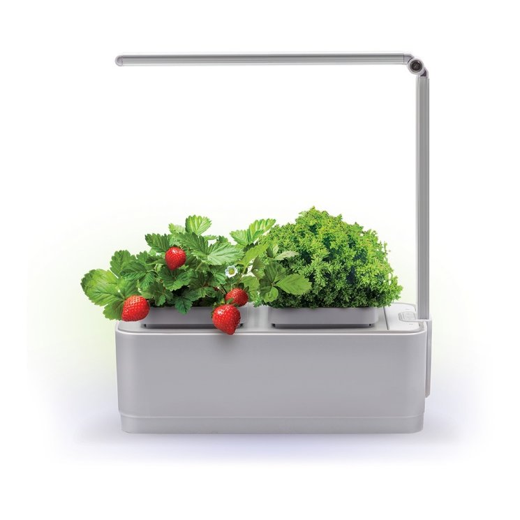 Смарт-сад с подсветкой iGarden LED 