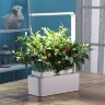 Смарт-сад с подсветкой iGarden LED 
